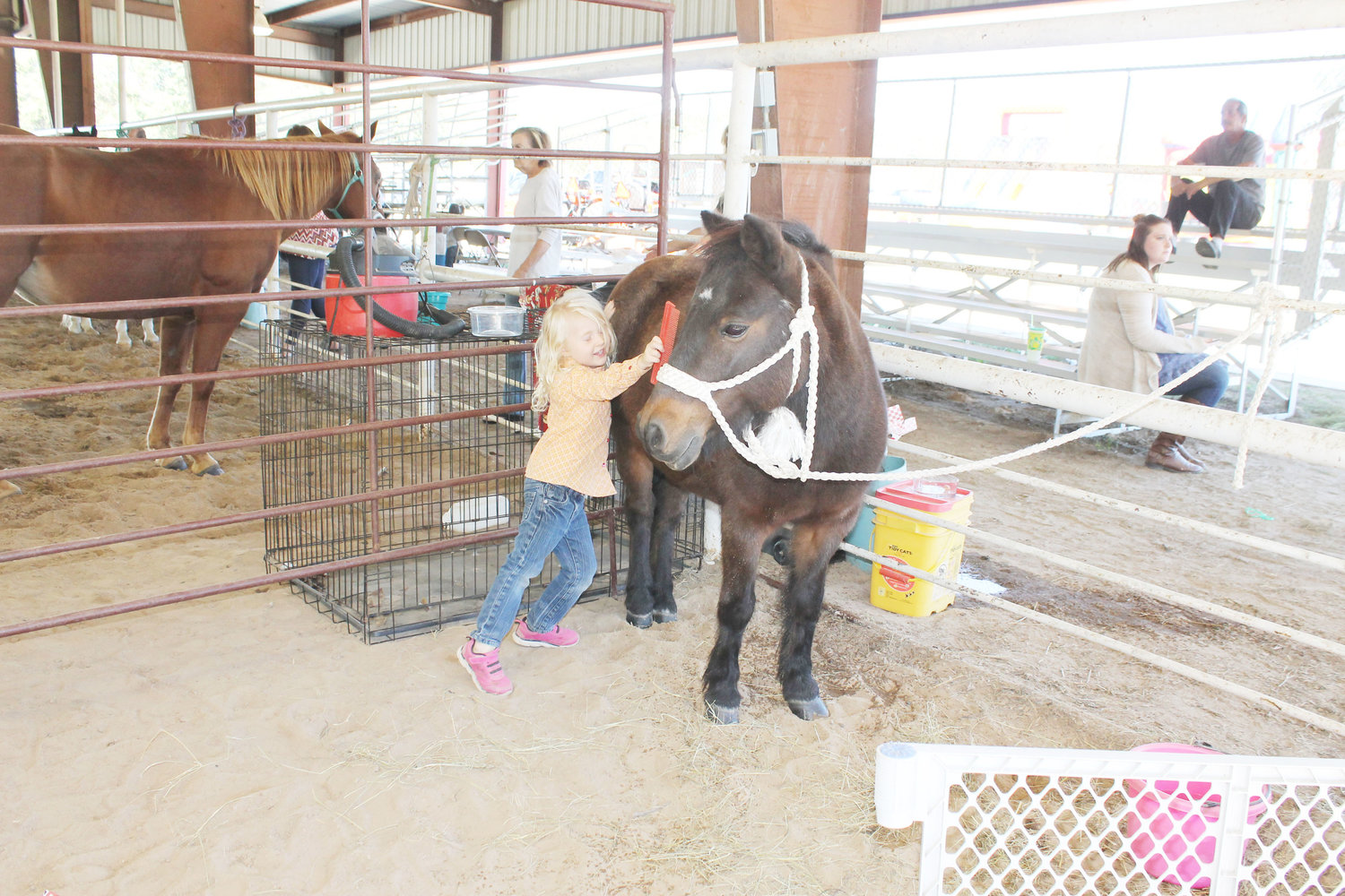 Little Addy Bolt puts some elbow grease into brushing a pony in the petting zoo in Golden Saturday.