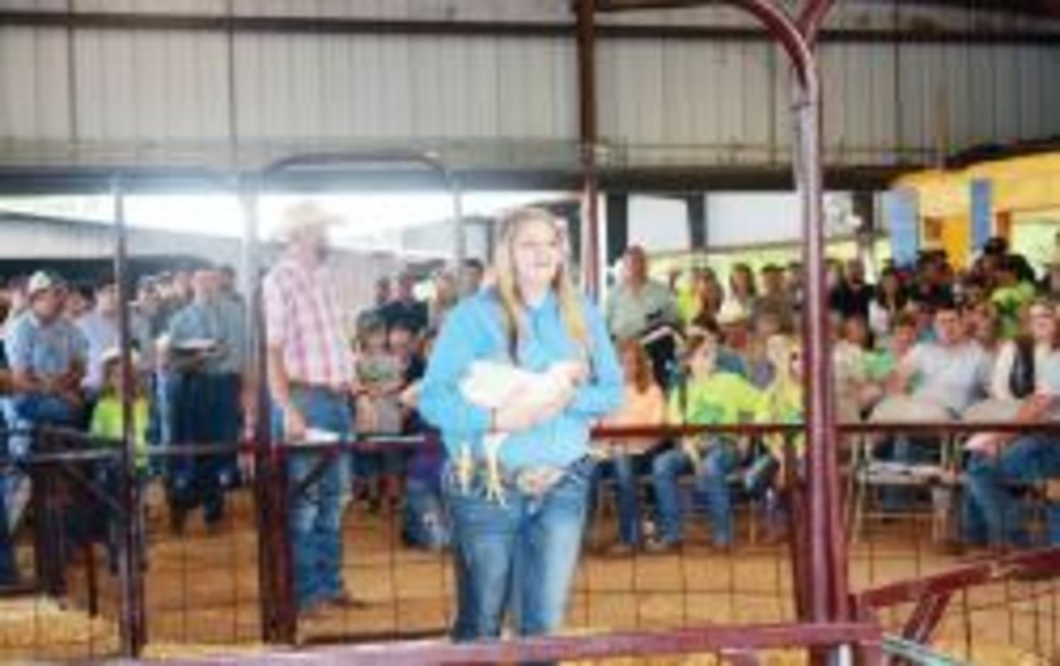 The Grand Champion Broiler went to Graceann Mullins of the Alba-Golden FFA at the livestock show Saturday.