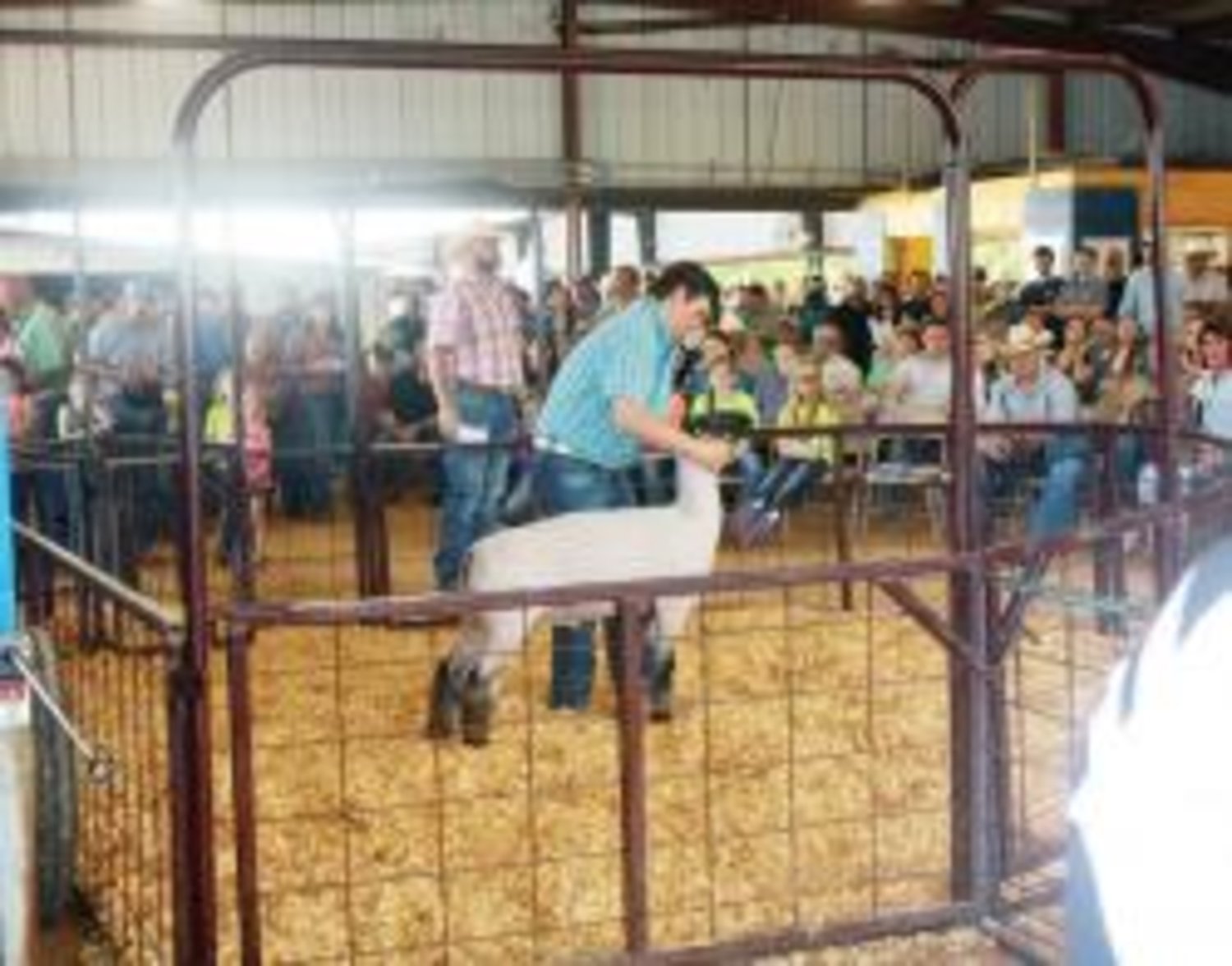 Trenton Norris of Yantis FFA took home Grand Champion Lamb at the Wood County Junior Livestock Show last week.