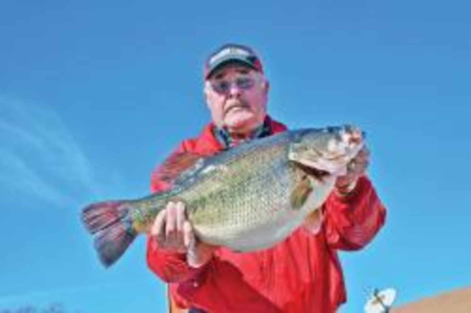 Richard Scibek of Granbury caught Toyota ShareLunker 540 from Lake Fork February 2. The fish weighed 16.04 pounds and was 25.75 inches long and 23 inches in girth.