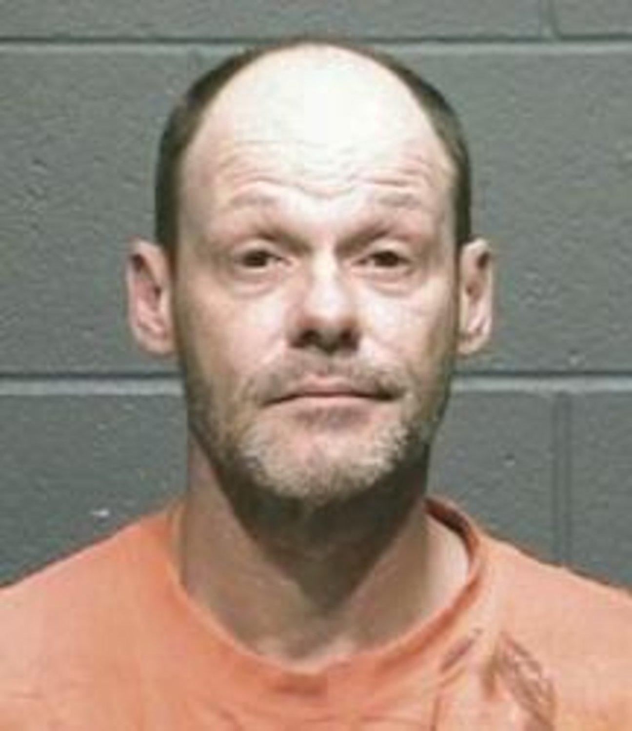Richard Townley, Jr. was the second person indicted in a April 2012 incident in which two dog were burned.