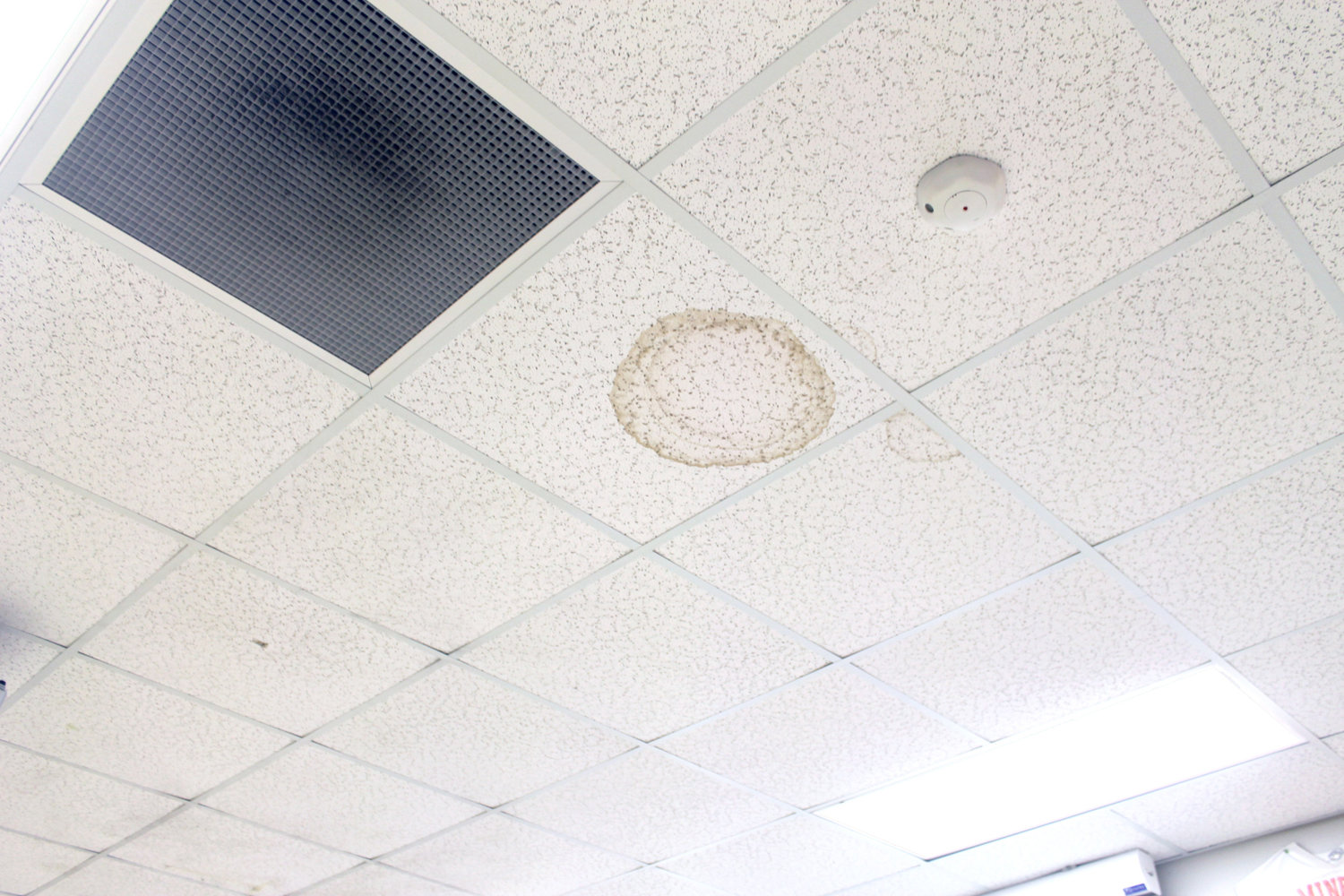 This water spot was one of several that was visible in one of the high school outbuildings. In fact, this is the ceiling of the classroom for the school’s newest science laboratory.
