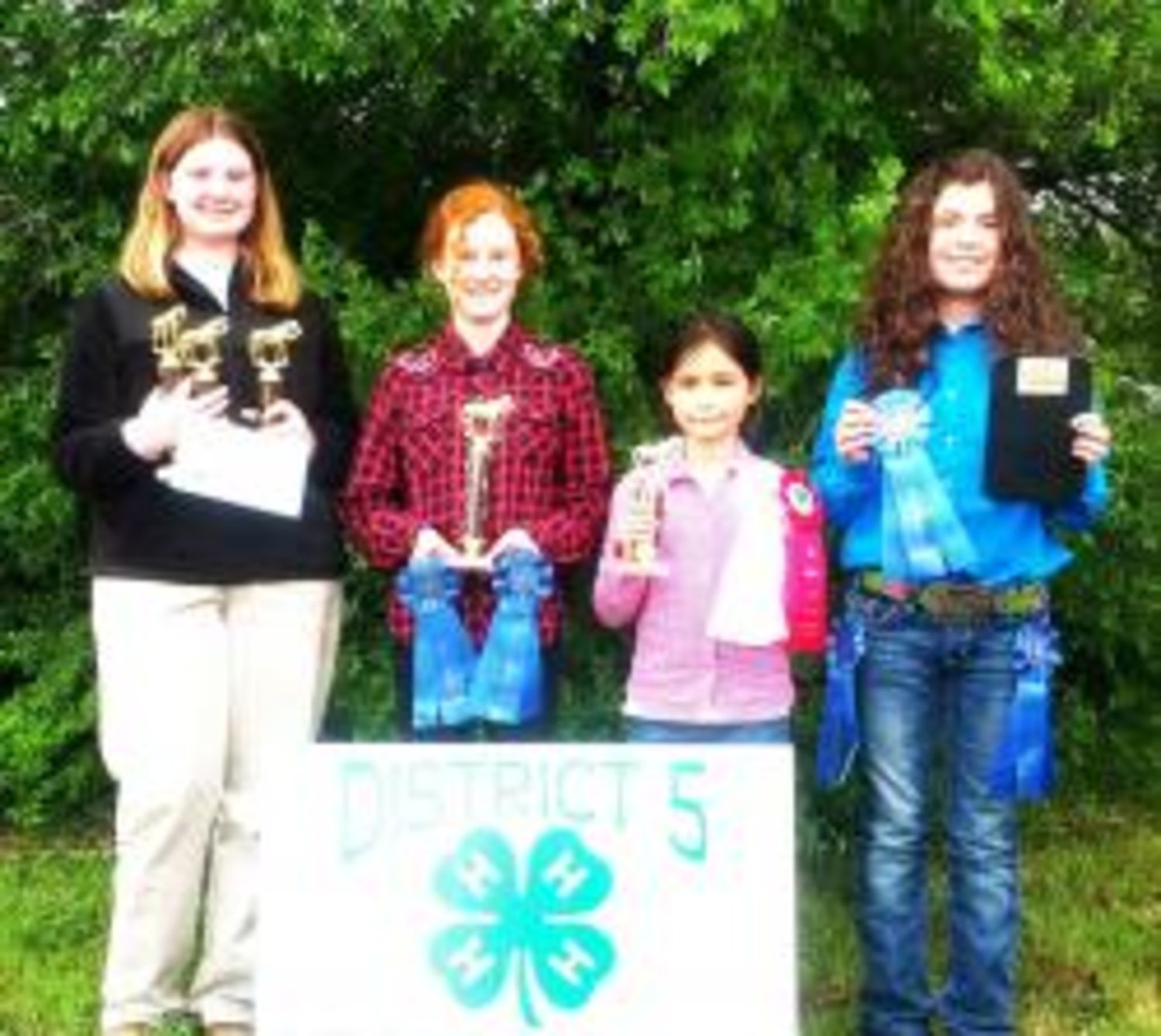 Pictured (L-R): are the following members of the Wood County 4-H Horse Club and their awards: Anna Carter -- 3rd Place, senior; Ahneka Tullos -- 1st Place, junior; Helena Bautista -- 3rd Place, junior; Kaylin Baker -- 1st Place, intermediate. Photo courtesy of the Wood County Extension Office.