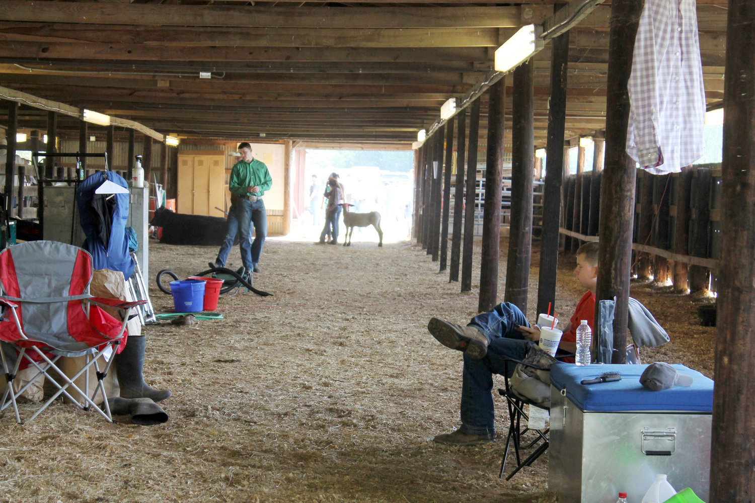 The show barn becomes a quiet, lonely place while most of the activity is occurring in the rings during Saturday’s Mineola Junior Livestock Show.