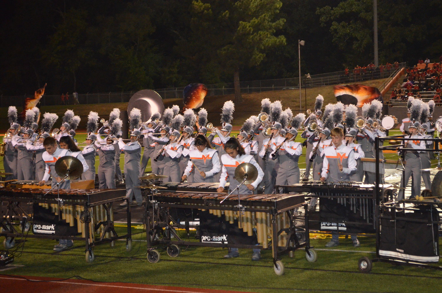 Mineola High School’s “Swarm of Music” performs “Total Eclipse” under the lights of Meredith Stadium during the Mineola Marching Festival on Oct. 8.