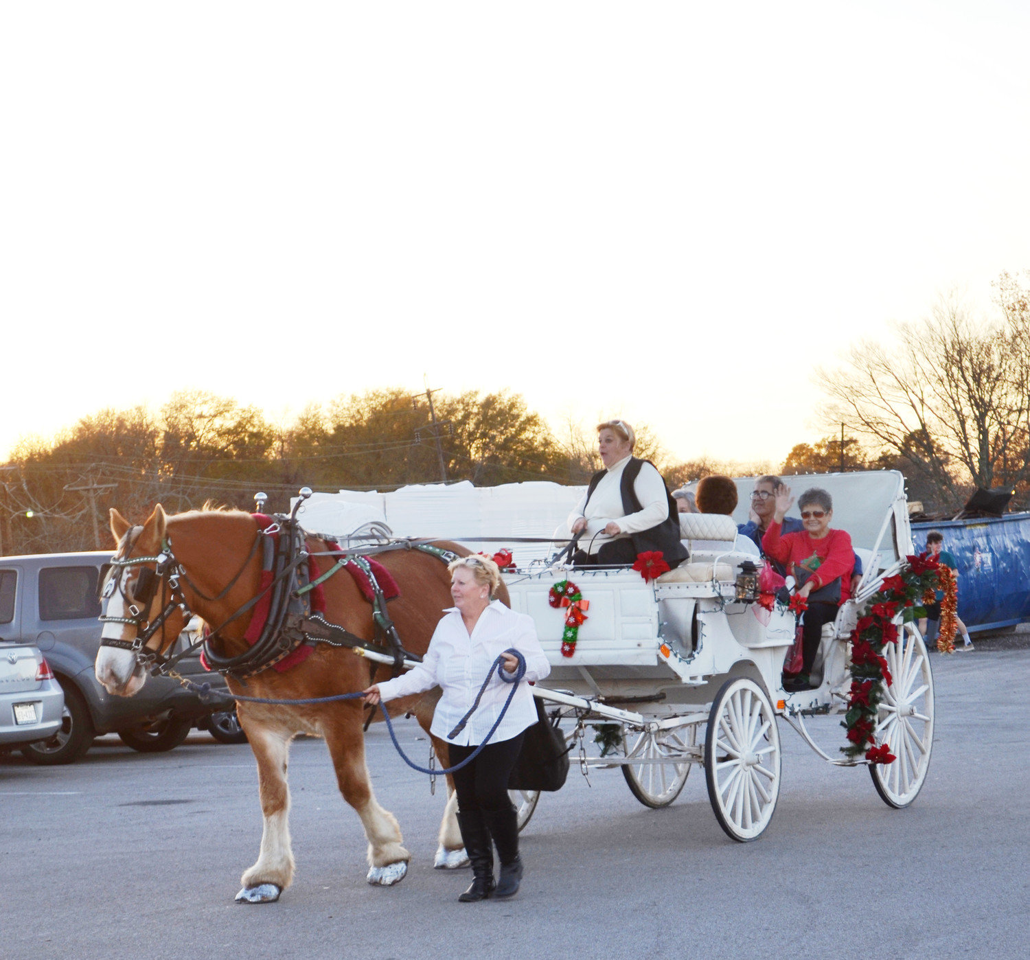 Free horse-drawn carriage rides were offered throughout the day Saturday. The rides were sponsored by the Mineola Landmark Commission.  (Monitor photo by Hank Murphy)