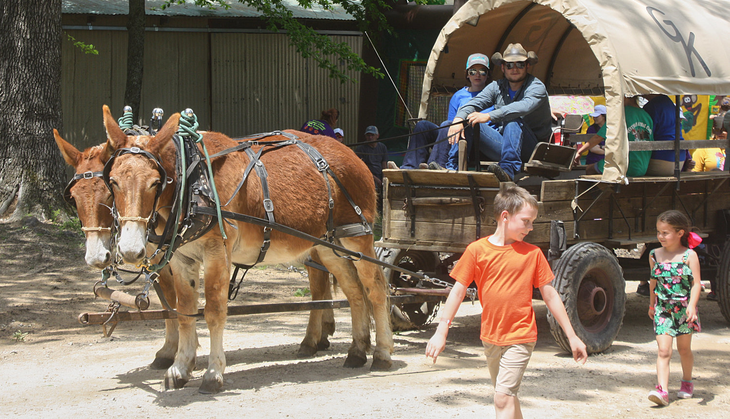 A horse driven wagon carries passengers through the Quitman Animal Clinic 17th annual Pet Fair on Saturday.