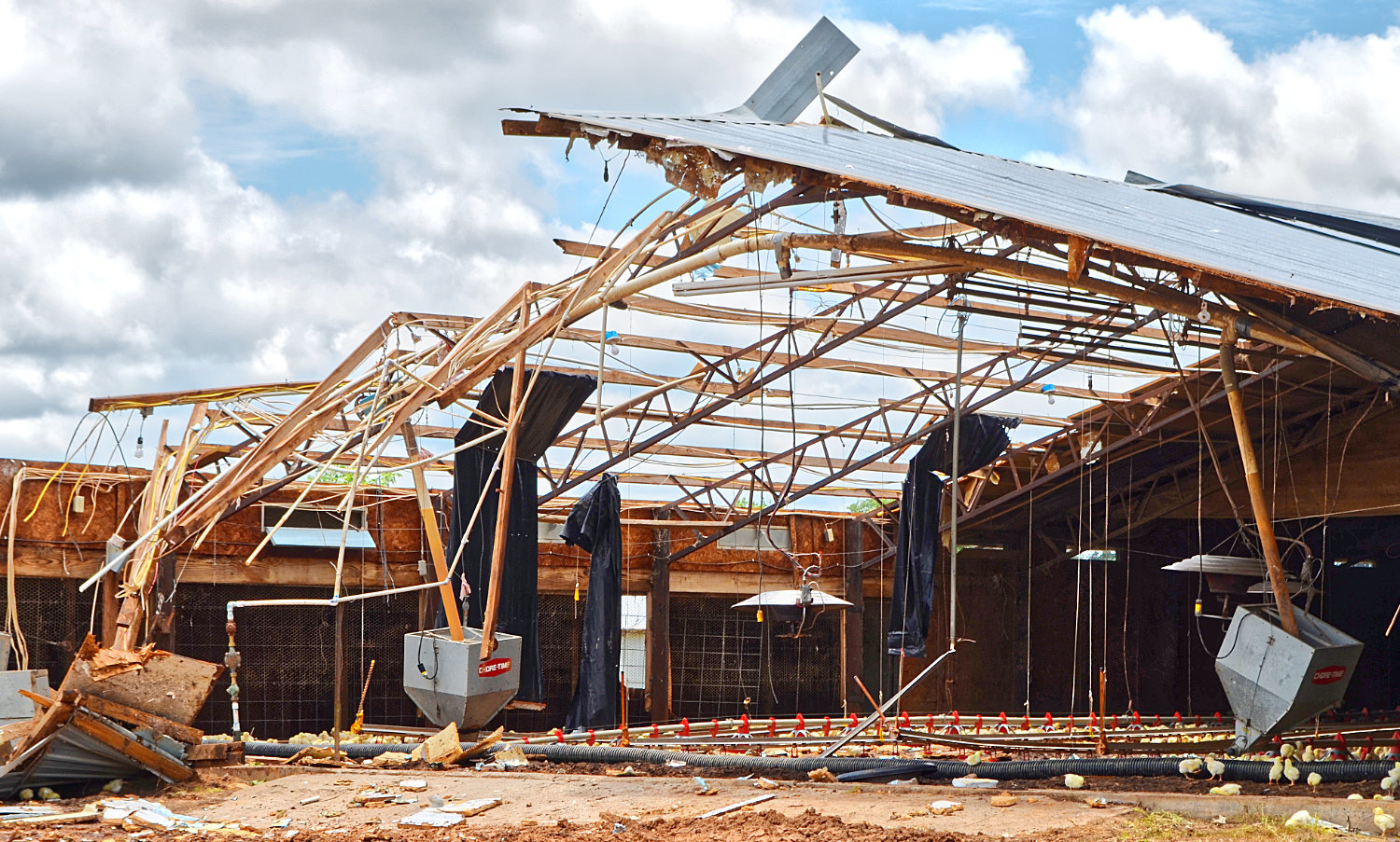A chicken house was among the structures damaged by a tornado east of Winnsboro on the afternoon of Wednesday, May 29.