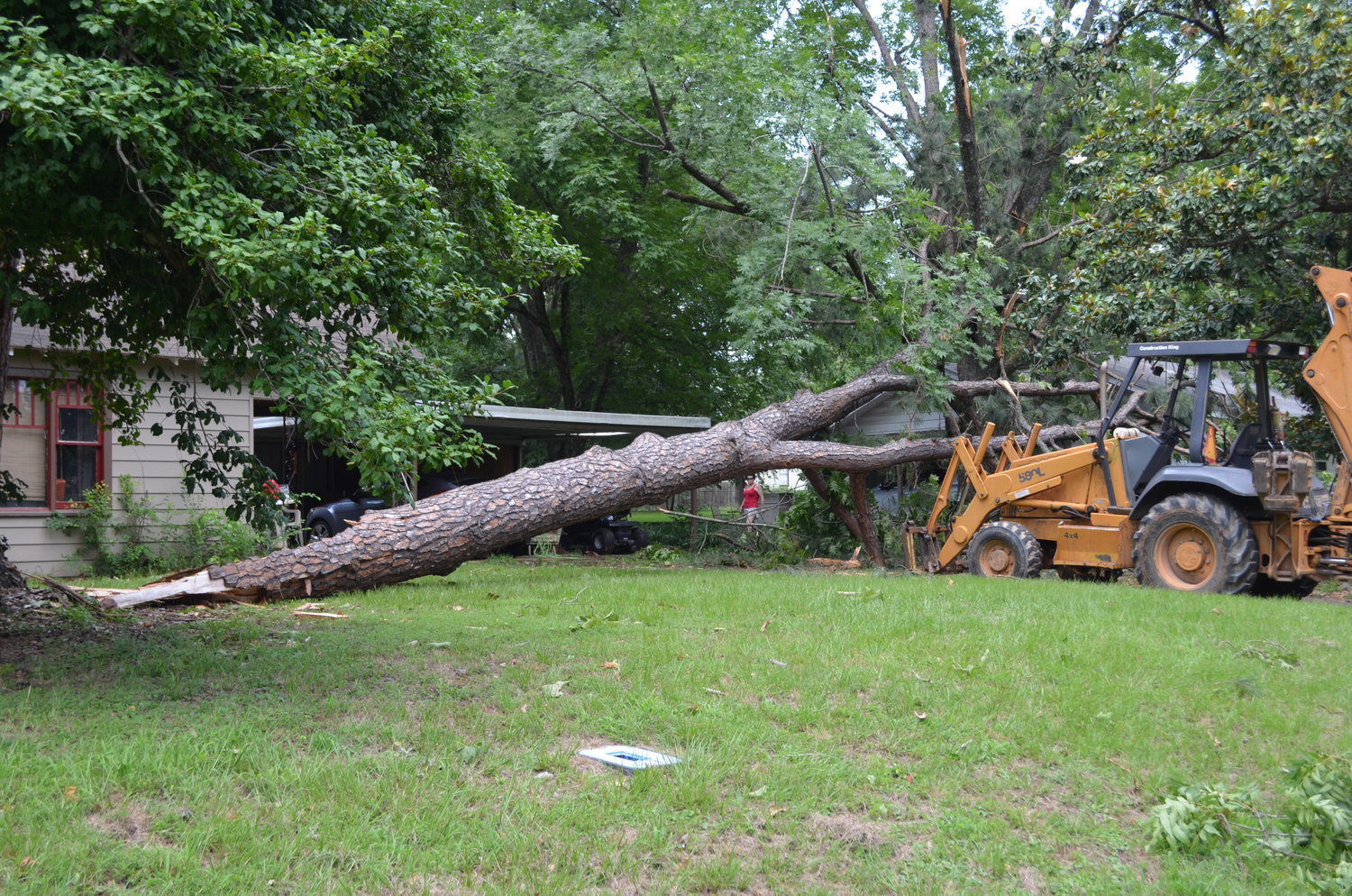 A powerful thunderstorm hit Wood County just before dawn on Wednesday, knocking down trees and power lines and interrupting electrical service to 80 customers in Wood County, according to Wood County Electric Cooperative. Here, a massive pine tree was blown over at a house on Mimosa Street in Mineola. A crew was removing the tree Wednesday afternoon. (Monitor photo by Hank Murphy).