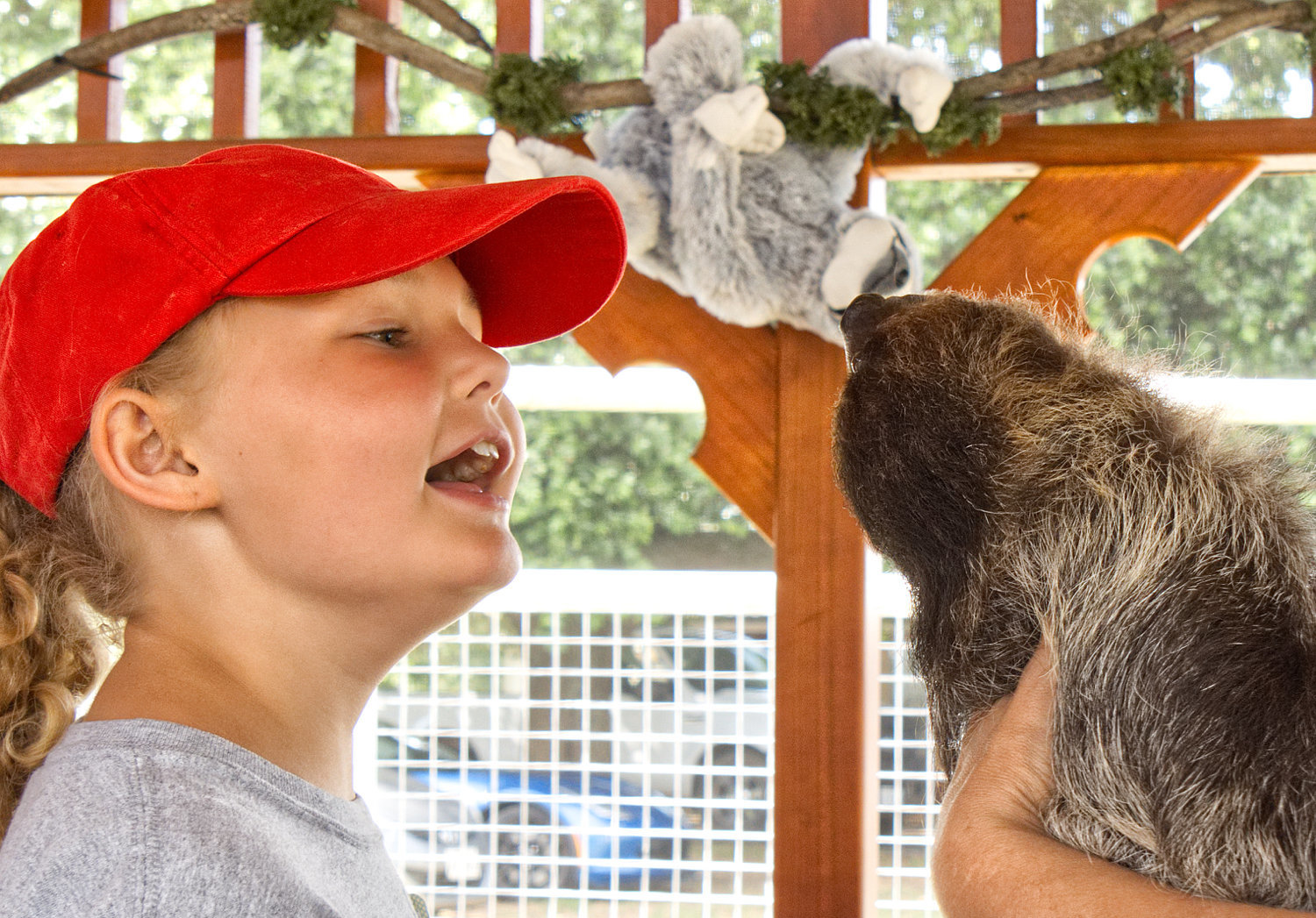 Haley Baker of Canton goes eye to eye with Molasses the sloth last week during a kids camp at Mini S Exotic Zoo just outside Mineola. (Monitor photo by Sam Major)