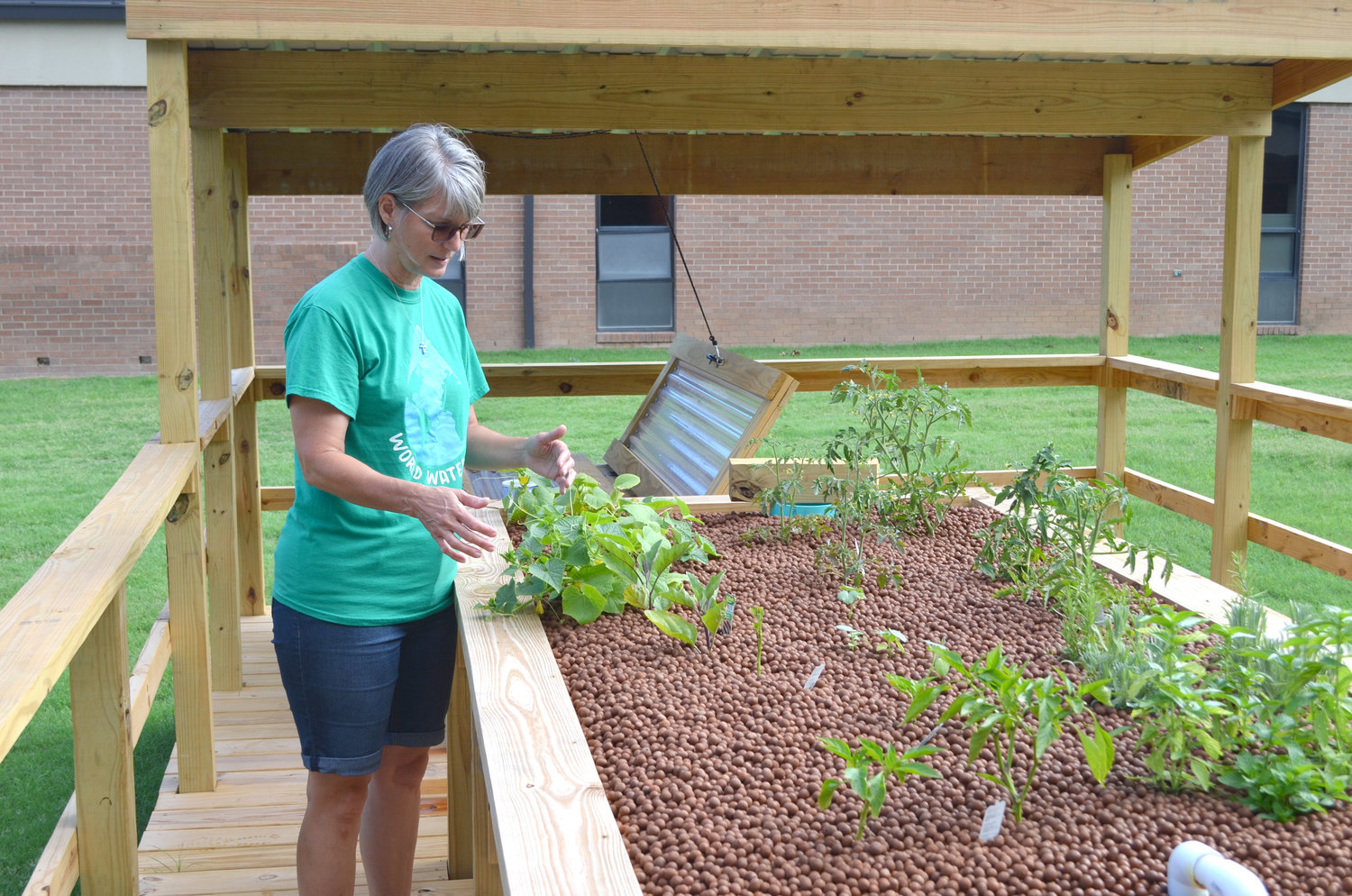 Mineola seventh-grade science teacher Susan Witt observes vegetables growing at an aquaponics station, the newest addition to the MISD Outdoor Science Center. At the side of the garden is the tank containing perch caught at Spring Lake in Mineola. (Monitor photo by Hank Murphy)