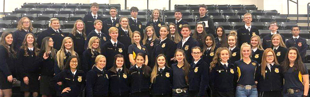 Quitman Future Farmers of America chapter won the district sweepstakes.