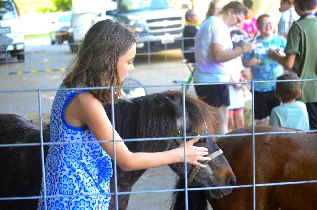 The Shetland ponies were a big draw at the petting livestock small enclosure at the Faith Baptist Church Block Party Saturday evening in Quitman.