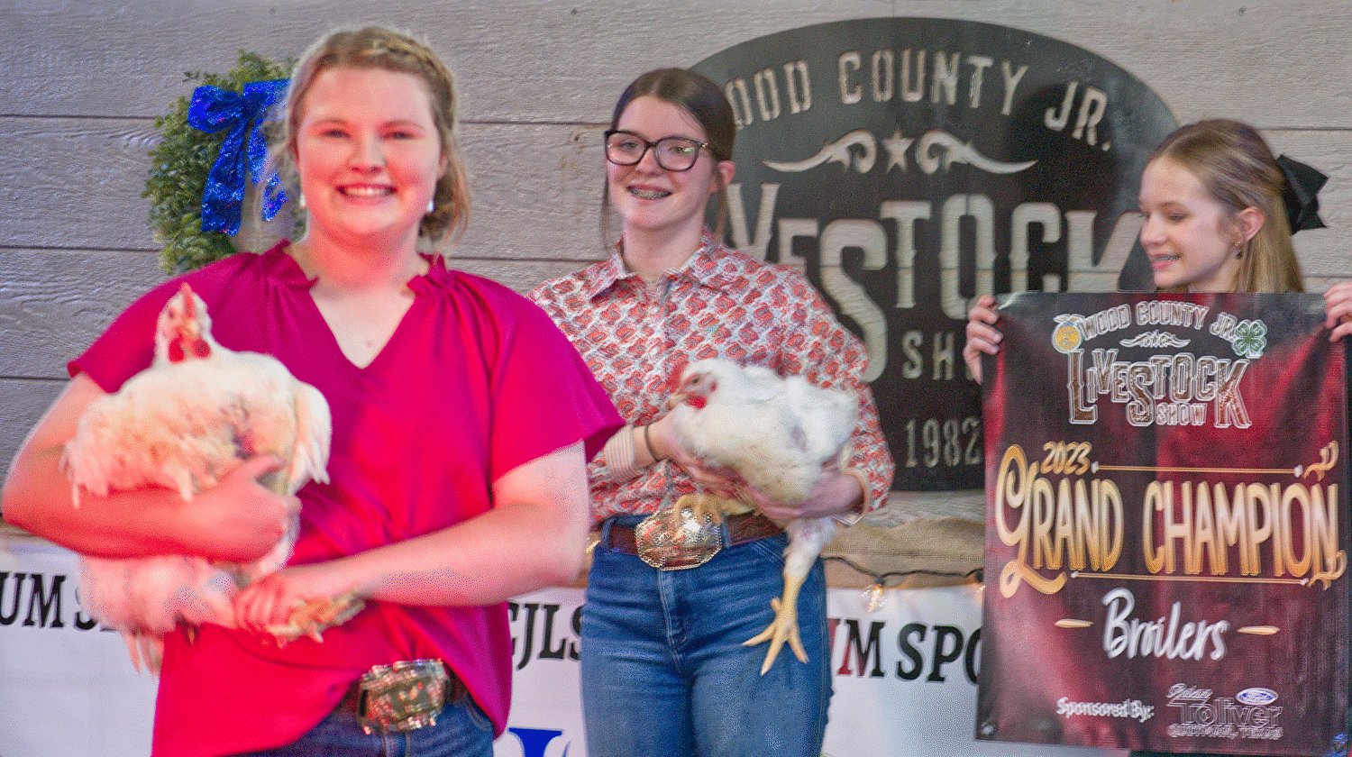 Kennedi Elmore of Quitman is all smiles as she auctions her grand champion broilers at the junior livestock show Friday.