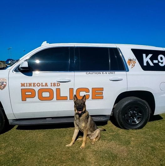 Thor, the new Mineola ISD police dog, will be receiving a protective vest thanks to a non-profit that specializes in assisting canine officers.