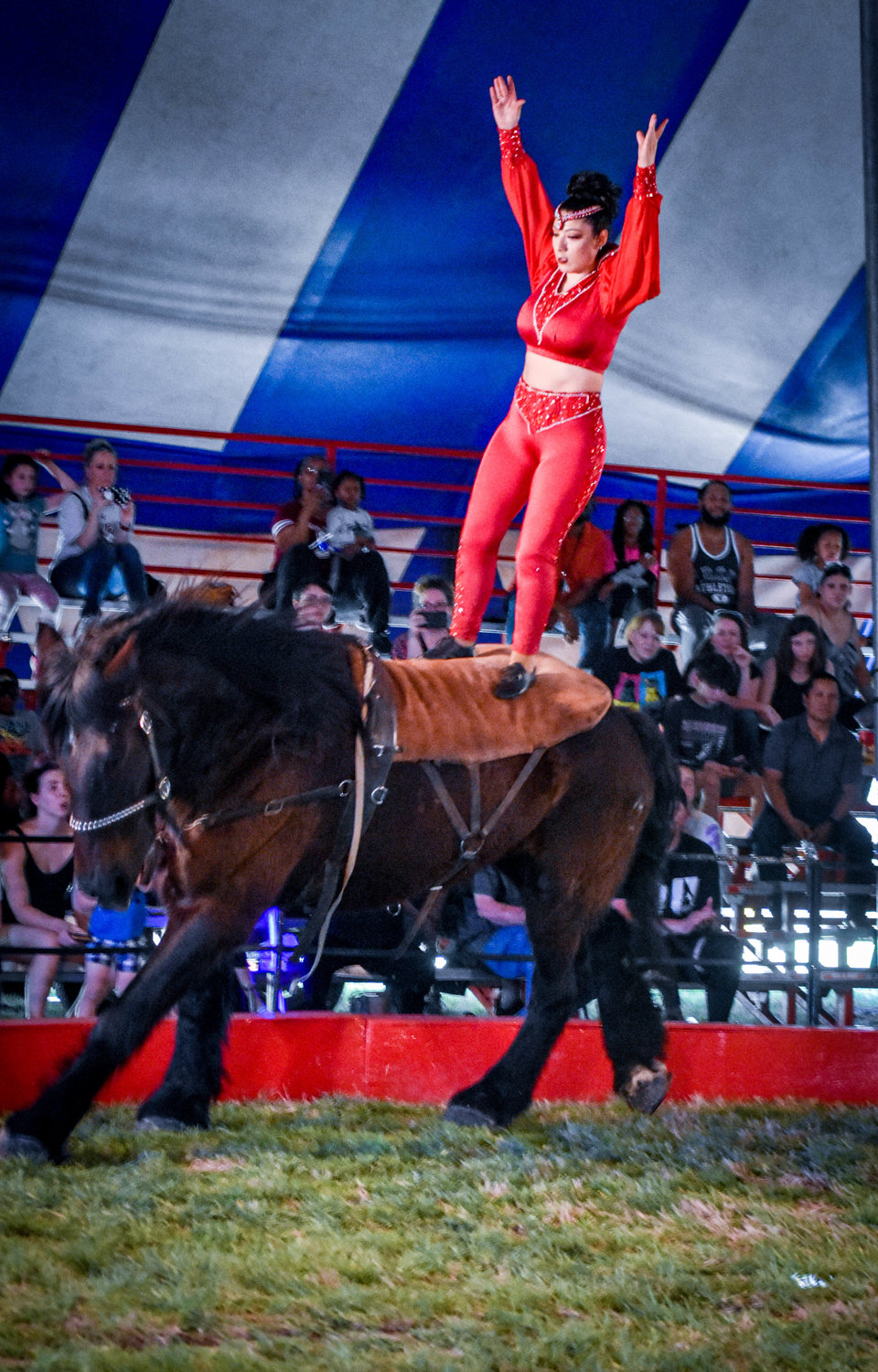 Among the many performances during the circus are trick horseback riding.
